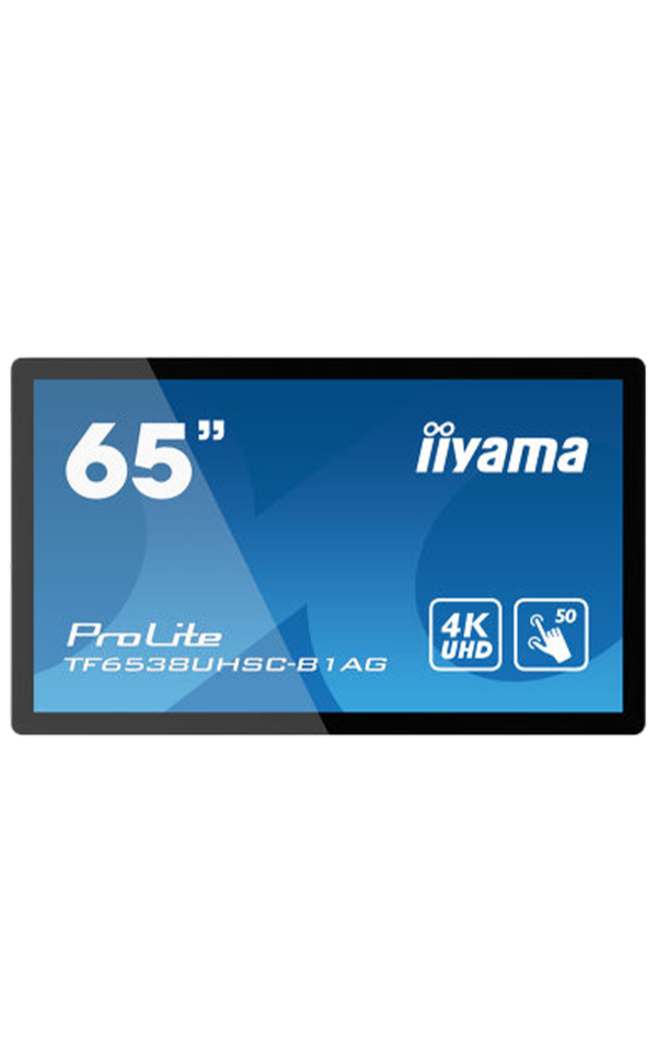 ecran iiyama