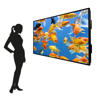 Dynascan affichage vitrine